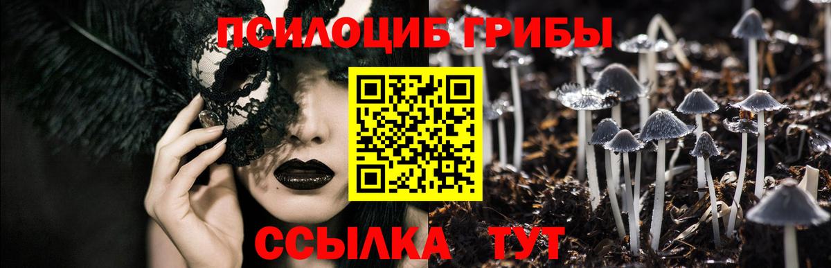 Псилоцибиновые грибы Psilocybine cubensis Чехов